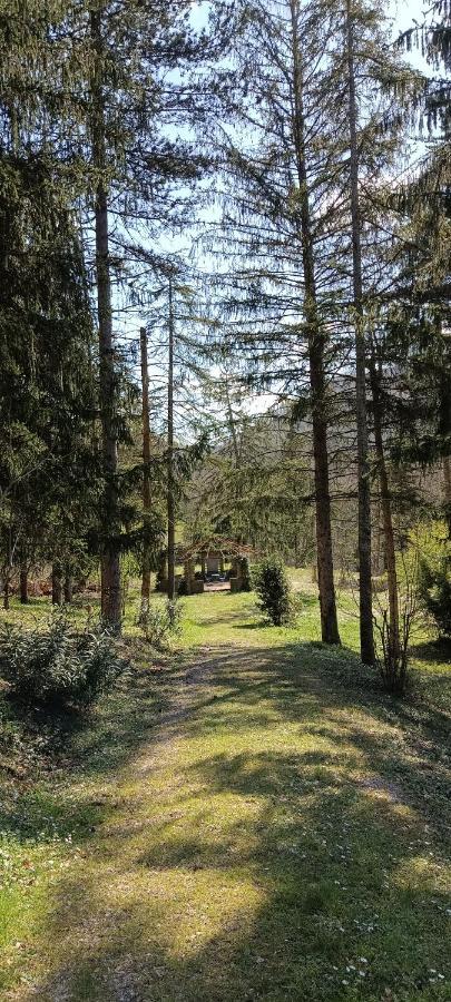 Casale La Pineta Mombaroccio Exterior foto