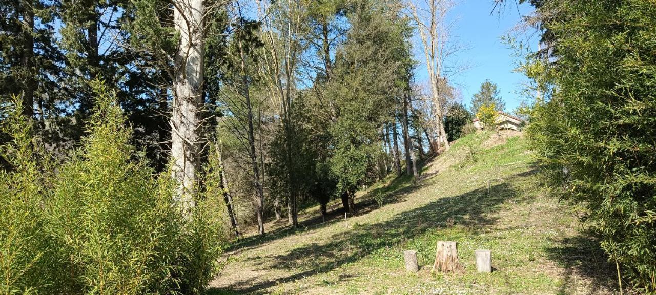 Casale La Pineta Mombaroccio Exterior foto